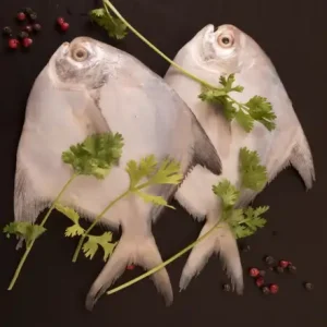 Silver Pomfret