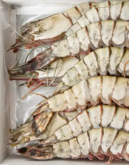 Whole prawns 8-12 1kg