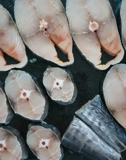 Kingfish Steaks | Wahoo 1kg