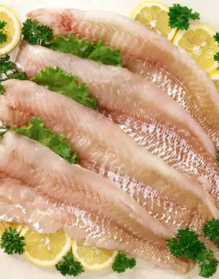 Coley Fillet