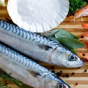 Whole Mackerel 1kg