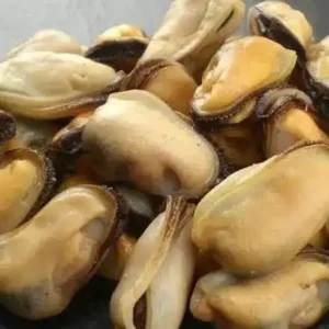 Chilean Mussels 1kg