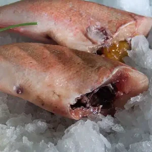 Redfish